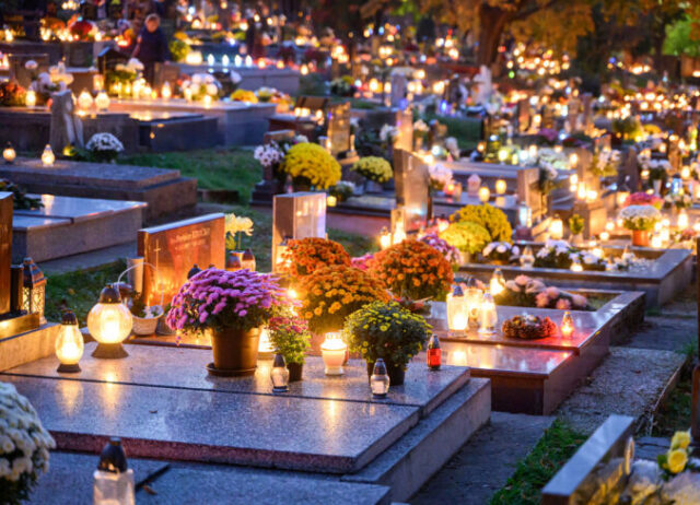 551740_6725205e8f2ea252625038 676x488.jpg