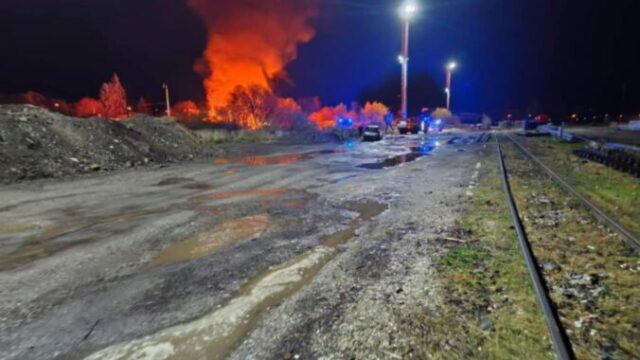 551805_386cab9a 4914 44b8 a44f 3f3c1f5cab29 676x507.jpeg