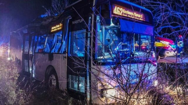 551889_577015576_1306001601569918_1678407508543635442_n 676x451.jpg