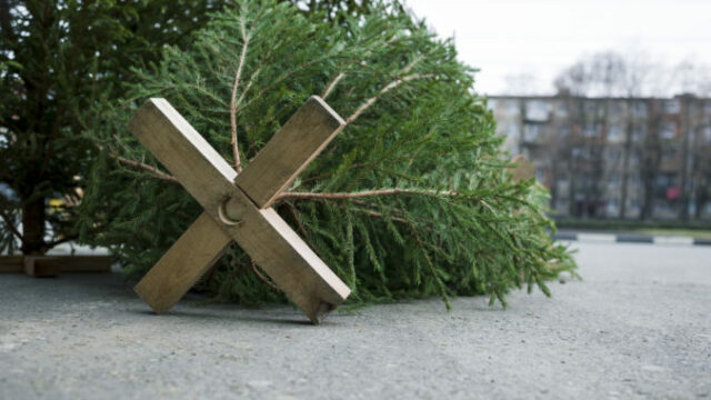 551897_gettyimages 1362316257 676x451.jpg