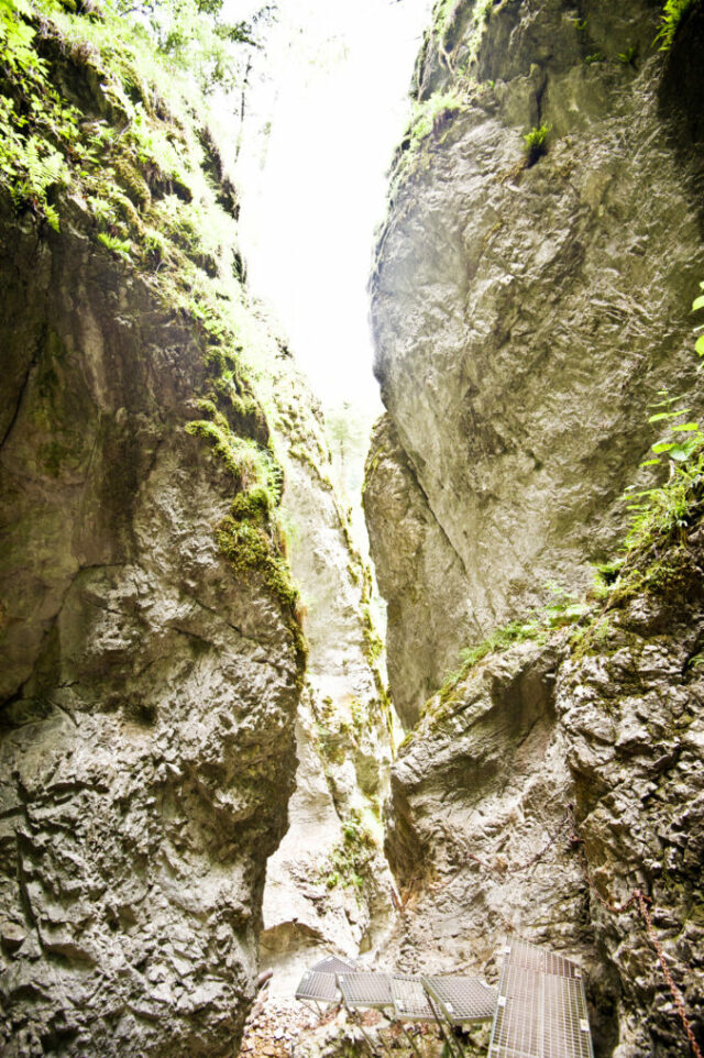 552187_gettyimages 1032775164 676x1016.jpg