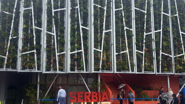 552332_67fb84e299940516905375 676x507.jpg