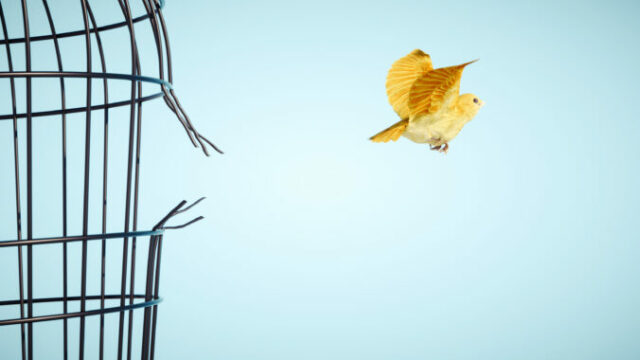 552360_gettyimages 1357145597 676x398.jpg