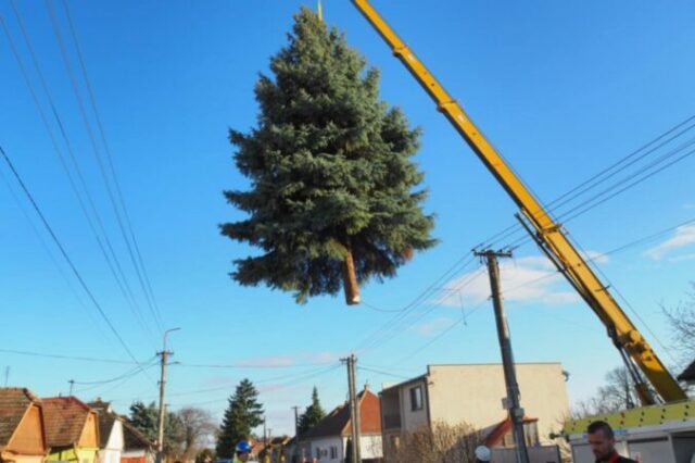 552425_ae08ecaa bf05 4454 b30d 4119d771b679 676x450.jpeg