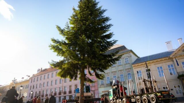 552442_585814739_1324069779764759_1529741394523682104_n 676x451.jpg