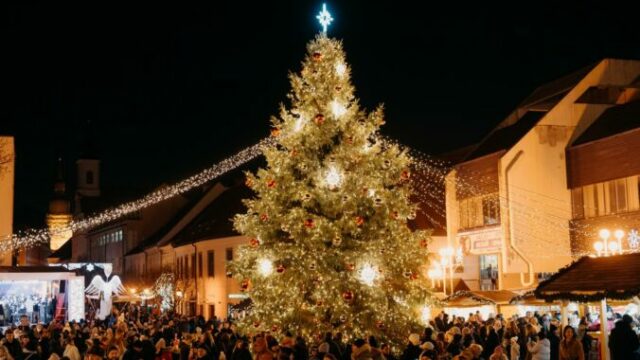 552901_589297372_18186317137349985_5785130779753811392_n 676x451.jpg