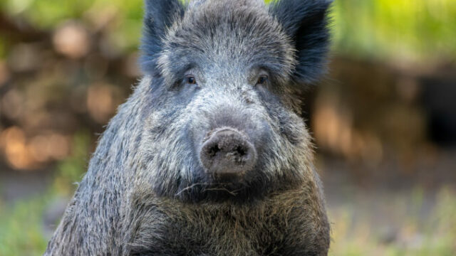 552930_gettyimages 1342198108 676x451.jpg