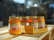 553201_09_19_2022_mons_ih 16 676x507.jpg