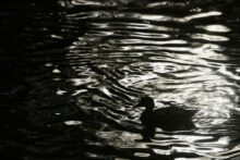 553282_russia_daily_life_22744 676x451.jpg