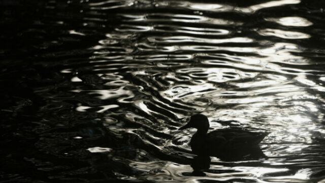 553282_russia_daily_life_22744 676x451.jpg