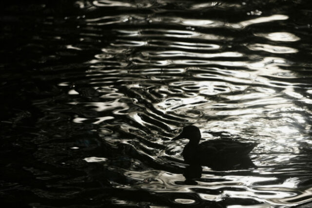 553282_russia_daily_life_22744 676x451.jpg