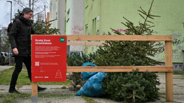 553359_659a8ca239567783594386 676x451.jpeg