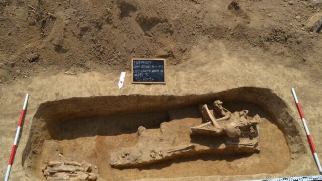 553379_596639617_1279716667524161_7697010310617091562_n 676x451.jpg