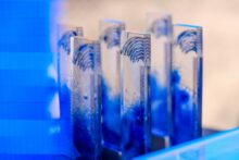 553479_568497360_1157006189864316_2827555632290421644_n 676x451.jpg