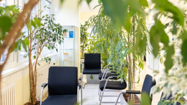 553611_1 2 676x451.jpg