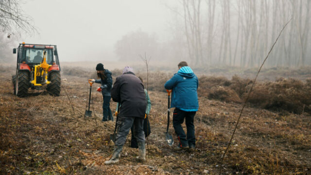 553637_3g0a4978 676x451.jpg