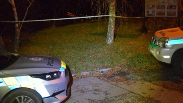 553737_603745478_1278861660956375_3831427315383134032_n e1766318876846 676x410.jpg