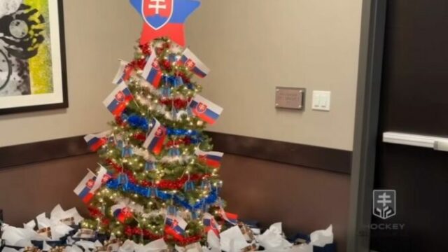 553841_slovenska hokejova dvadsiatka oslavovala vianoce v usa 676x448.jpg