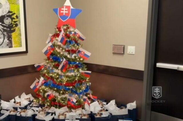 553841_slovenska hokejova dvadsiatka oslavovala vianoce v usa 676x448.jpg