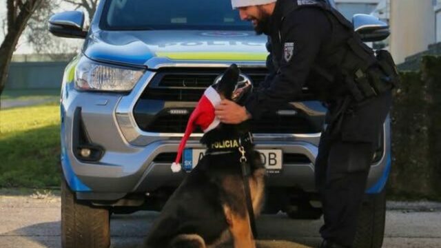 553855_policia na stedry den 676x526.jpg