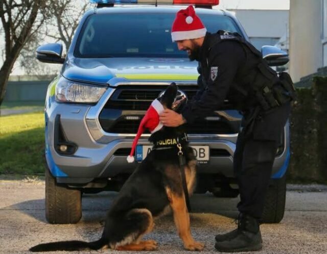 553855_policia na stedry den 676x526.jpg