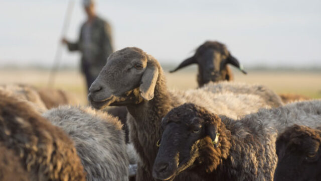 553869_gettyimages 1273686535 676x451.jpg