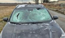 554077_612115513_1320298330143740_2096430011754636772_n e1767612538738 676x400.jpg