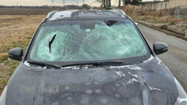 554077_612115513_1320298330143740_2096430011754636772_n e1767612538738 676x400.jpg