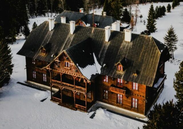 554302_lovecky zamocek 676x477.jpg