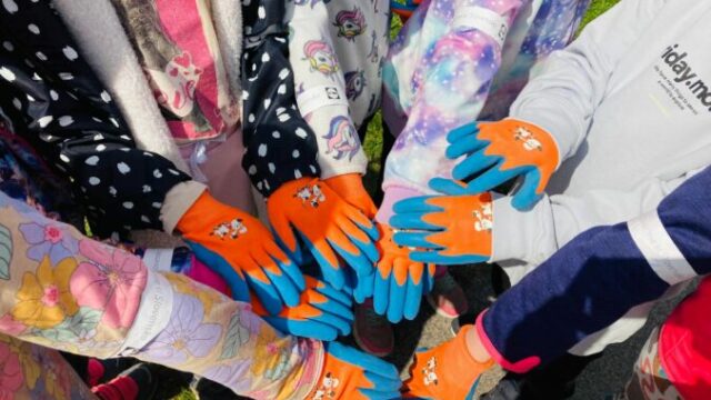 554704_velke_uherce_3 676x507.jpeg