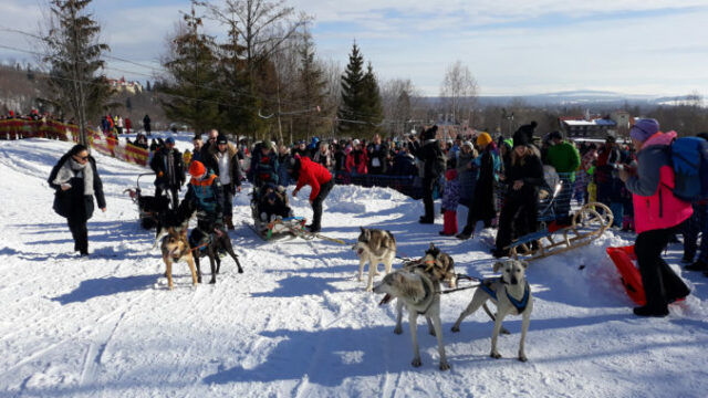 555074_02 676x452.jpg