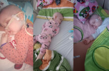 555165_tilulna ludialudom 676x444.jpg