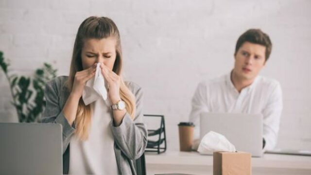 555295_obrazok1 3.jpg