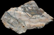 555459_textura ziloviny 676x436.jpg