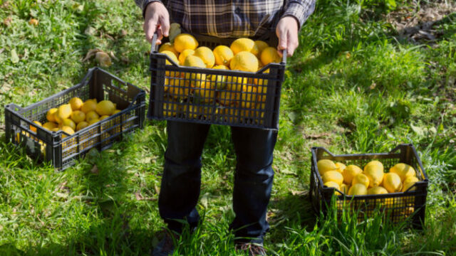 560121_gettyimages 1395877689 676x447.jpg