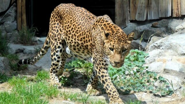 560827_zoo bratislava2.jpg
