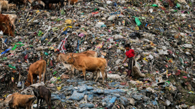 560995_india_world_environment_day_79861 676x451.jpg