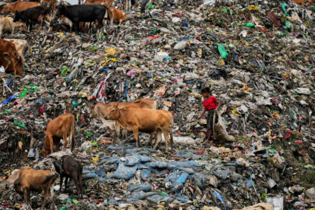 560995_india_world_environment_day_79861 676x451.jpg