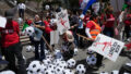 561101_us_may_day__828_ scaled.jpg