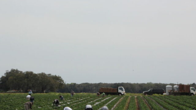 561179_gettyimages 2242044905 676x451.jpg