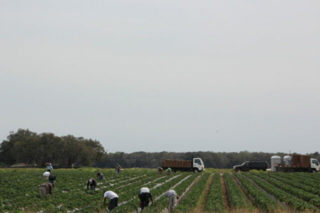 561179_gettyimages 2242044905 676x451.jpg