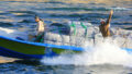 561887_gettyimages 640186194 676x451.jpg