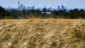 561970_aptopix_germany_weather_60138 676x451.jpg