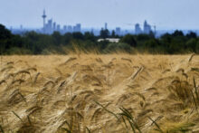 561970_aptopix_germany_weather_60138 676x451.jpg