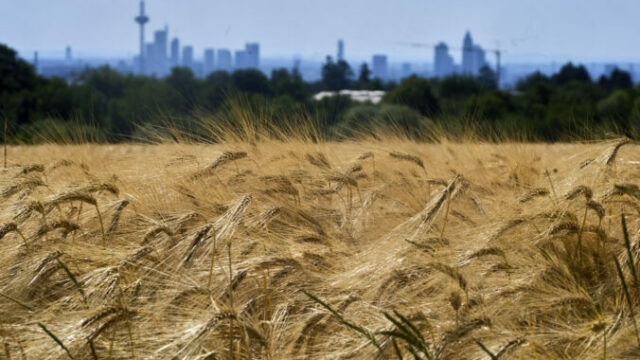 561970_aptopix_germany_weather_60138 676x451.jpg
