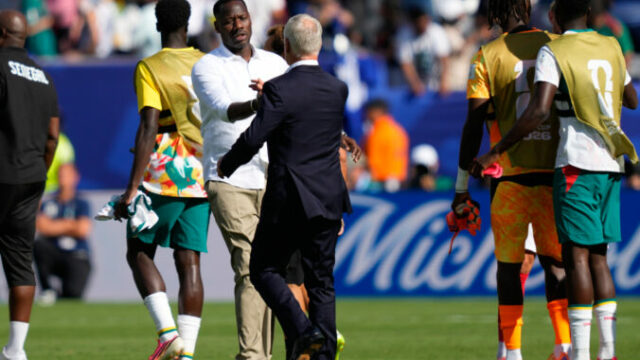 562333_senegal_france_wcup_soccer_92_55 676x451.jpg