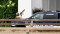 562411_canada_police_shots_41353 676x451.jpg