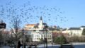 562509_nitra 1.jpg