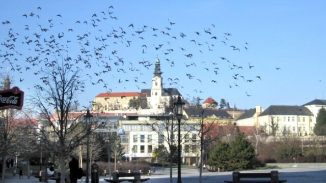 562509_nitra 1.jpg