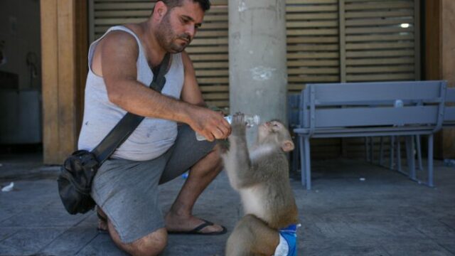 562762_lebanon_daily_life_29469 676x451.jpg